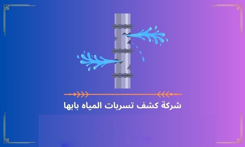 شركة كشف تسربات المياه بابها